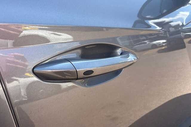 Hyundai TUCSON 1.6 TGDi Hybrid 230 Premium 5dr 2WD Auto Brown